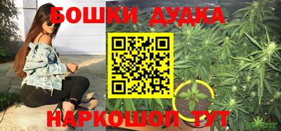 герыч Боровичи